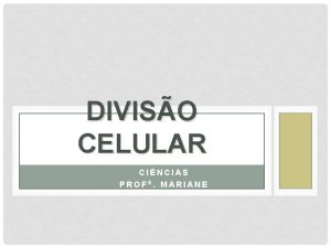 DIVISO CELULAR CINCIAS PROFA MARIANE MITOSE E MEIOSE