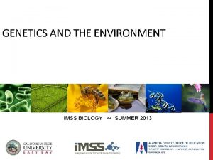 GENETICS AND THE ENVIRONMENT IMSS BIOLOGY SUMMER 2013