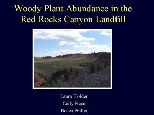 Woody Plant Abundance in the Red Rocks Canyon