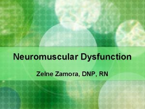 Neuromuscular Dysfunction Zelne Zamora DNP RN Autoimmune Nervous