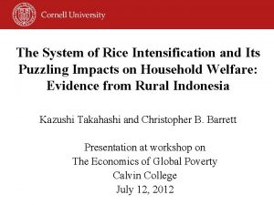 The System of Rice Intensification and Its Puzzling