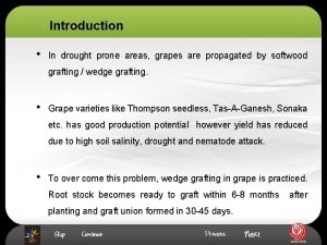 Introduction In drought prone areas grapes are propagated