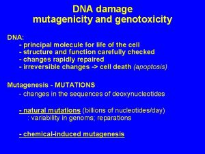 DNA damage mutagenicity and genotoxicity DNA principal molecule