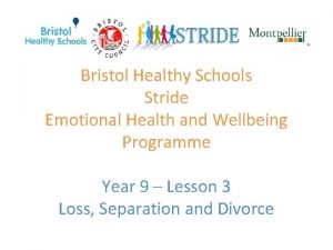 Bristol Healthy Schools Stride Emotional Health and Wellbeing