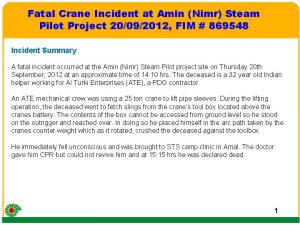 Fatal Crane Incident at Amin Nimr Steam Pilot