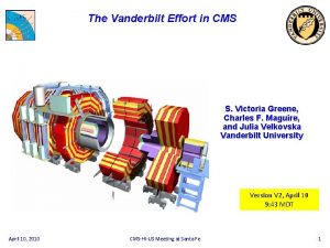 The Vanderbilt Effort in CMS S Victoria Greene