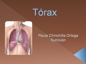 Trax Paula Chinchilla Ortega Nutricin El trax Parte