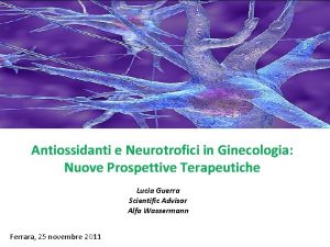 Antiossidanti e Neurotrofici in Ginecologia Nuove Prospettive Terapeutiche