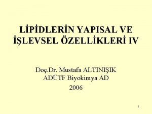 LPDLERN YAPISAL VE LEVSEL ZELLKLER IV Do Dr