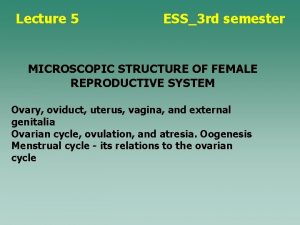 Lecture 5 ESS3 rd semester MICROSCOPIC STRUCTURE OF