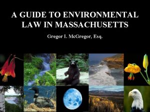 A GUIDE TO ENVIRONMENTAL LAW IN MASSACHUSETTS Gregor