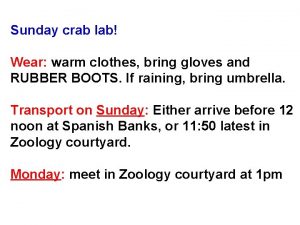 Sunday crab lab Wear warm clothes bring gloves