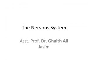 The Nervous System Asst Prof Dr Ghaith Ali