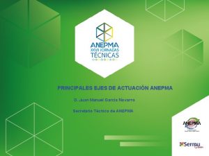 PRINCIPALES EJES DE ACTUACIN ANEPMA D Juan Manuel