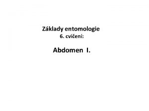 Zklady entomologie 6 cvien Abdomen I Zadeek Abdomen
