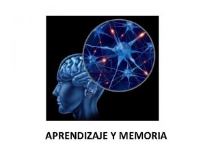 APRENDIZAJE Y MEMORIA Aprendizaje y memoria Aprendizaje Cualquier