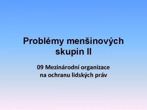 Problmy meninovch skupin II 09 Mezinrodn organizace na