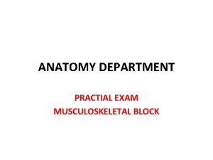 ANATOMY DEPARTMENT PRACTIAL EXAM MUSCULOSKELETAL BLOCK Q 1