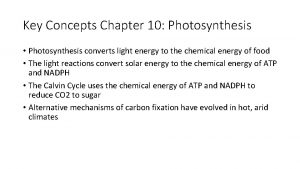 Key Concepts Chapter 10 Photosynthesis Photosynthesis converts light