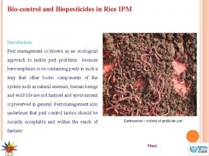 Biocontrol and Biopesticides in Rice IPM Introduction Pest