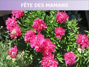 FTE DES MAMANS 1 14 mai 2017 LETTRE