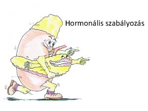 Hormonlis szablyozs Hipotalamuszhipofzis rendszer Agyalapi mirigy Hipotalamusz A
