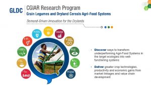 Discover ways to transform underperforming AgriFood Systems in