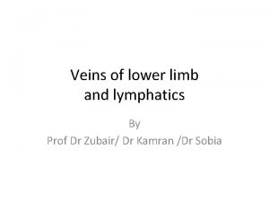 Great and small saphenous vein Great and small saphenous vein