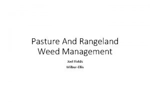 Pasture And Rangeland Weed Management Joel Fields WilburEllis