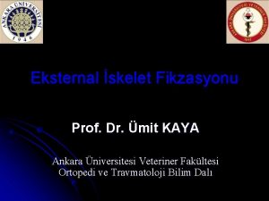 Eksternal skelet Fikzasyonu Prof Dr mit KAYA Ankara