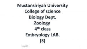 Mustansiriyah University College of science Biology Dept Zoology