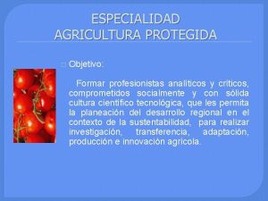 ESPECIALIDAD AGRICULTURA PROTEGIDA Objetivo Formar profesionistas analticos y