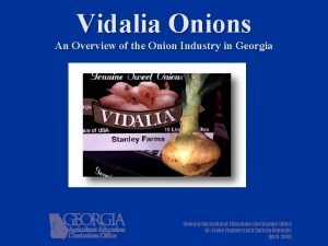 Vidalia Onions An Overview of the Onion Industry