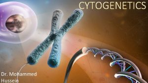 CYTOGENETICS Dr Mohammed Hussein Structural alterations of chromosomes