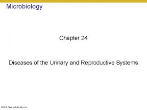 Microbiology Chapter 24 Diseases of the Urinary and
