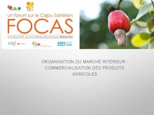 ORGANISATION DU MARCH INTRIEUR COMMERCIALISATION DES PRODUITS AGRICOLES