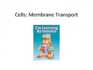 Cells Membrane Transport Fig 7 2 Cell Membrane