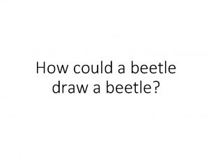 How could a beetle draw a beetle Meet