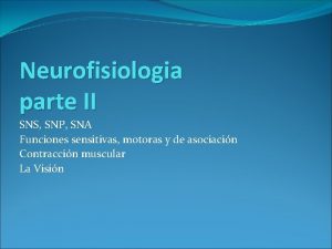 Neurofisiologia parte II SNS SNP SNA Funciones sensitivas