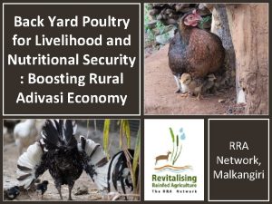 Back Yard Poultry for Livelihood and Nutritional Security