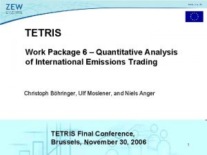 TETRIS Work Package 6 Quantitative Analysis of International