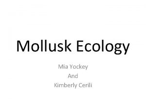 Mollusk Ecology Mia Yockey And Kimberly Cerili How