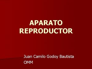 APARATO REPRODUCTOR Juan Camilo Godoy Bautista OMM APARATO