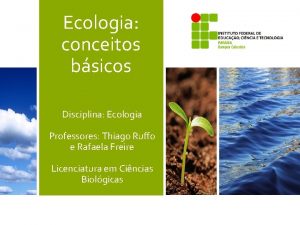 Ecologia conceitos bsicos Disciplina Ecologia Professores Thiago Ruffo