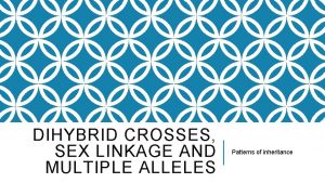 DIHYBRID CROSSES SEX LINKAGE AND MULTIPLE ALLELES Patterns