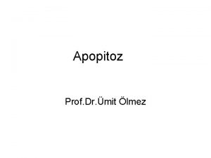 Apopitoz Prof Dr mit lmez Apopitoz Programl hcre