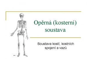 Oprn kostern soustava Soustava kost kostnch spojen a