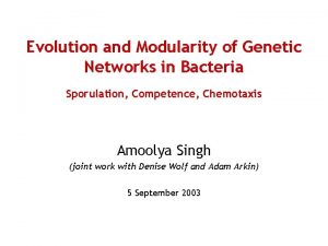 Evolution and Modularity of Genetic Networks in Bacteria