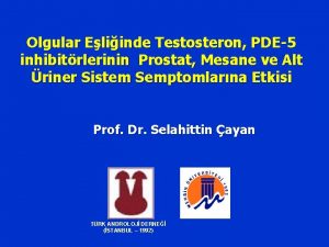 Olgular Eliinde Testosteron PDE5 inhibitrlerinin Prostat Mesane ve
