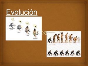 Evolucin TEORAS EVOLUTIVAS Siglo XIX Surgen NUEVAS TEORAS